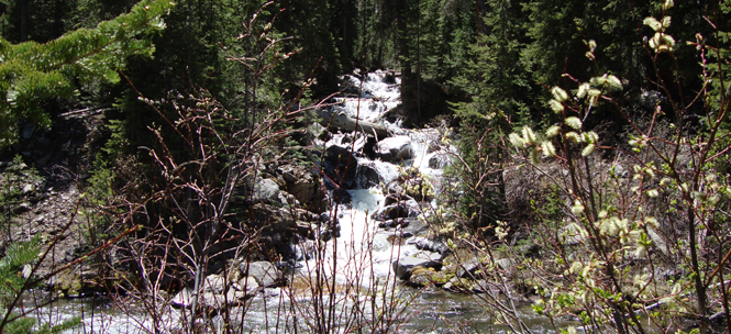 Platoro South Side of Reservoir